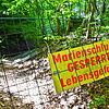 Die Absperrung an der Marienschlucht. Nicht nur der Weg durch die Schlucht hindurch ist momentan gesperrt. Auch der Uferweg und Etappe ...