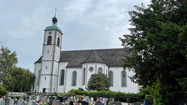 Blick auf die Kirche St. Ulrich und St. Afra in Kreuzlingen.
