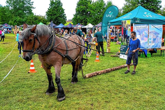 Bild 12: Tolle Stimmung beim Brigachtaler Dorffest – Teil 4
