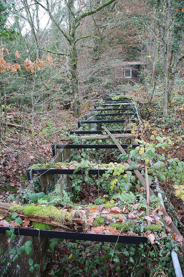 Parallel zur Schlucht und zur Albtalstraße verläuft der alte Holzkanal, der früher von der Papierfabrik geutzt wurde, um das Wasser der ...