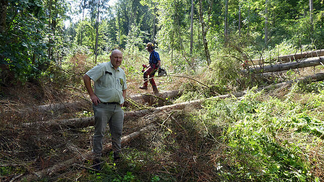 Revierleiter Wolfgang Schelb und Waldarbeiter Jürgen Hauptvogel im Distrikt Überachen des Reviers Blumberg-Riedböhringen-Achdorf. Dort ...