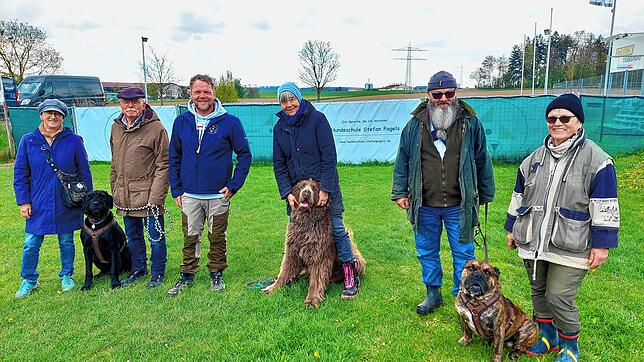 Anita und Siegfried Grimm aus Stetten mit Riesenschnauzer Fridolin, Stefan Pagels, Elke Gehrling aus Oberschmeien mit Neufundländer ...