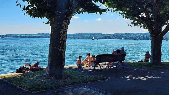 Viele Konstanzerinnen und Konstanzer sonnen sich gern in Badekleidung an der Seestraße und gehen dort ins Wasser. Das finden nicht alle ...