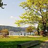 Ein ungewohnter Anblick: Der Park und die Uferpromenade in Ludwigshafen sind trotz strahlendem Sonnenschein leer und verwaist.
