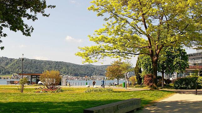 Ein ungewohnter Anblick: Der Park und die Uferpromenade in Ludwigshafen sind trotz strahlendem Sonnenschein leer und verwaist.