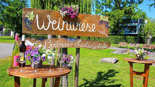 Im Ludwigshafener Uferpark findet vom 29. Mai bis 1. Juni die erste Weinwiese statt.