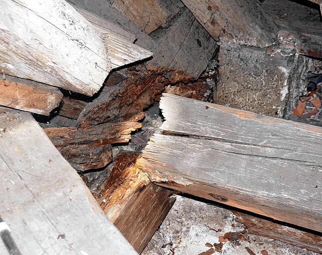Gefräßiger Schwamm: Diese stark beschädigte Stelle im Dachgebälk der Liebfrauenkirche ist Werk des Hausschwamms.