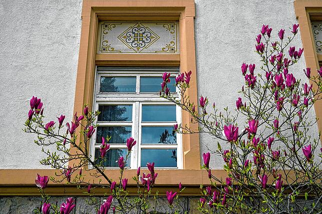 Das Gebäude des ehemaligen Krankenhauses von Tiengen befindet sich am Fuße des Vitibucks neben dem Friedhof. Die Fenster sind mit ...