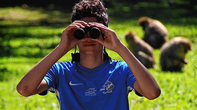 Etienne sitzt mit einem Fernglas am Affenberg Salem. Gesucht sind junge Forscher im Alter von 14 und 15 Jahren, die sich für ein Projekt ...
