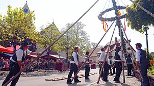 Das Maibaumstellen in Kippenhausen 2022. Auch dieses Jahr findet das traditionelle Fest wieder statt.