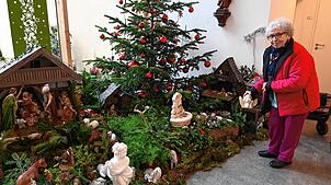 Ursula Bäuerle stellt die letzte fehlende Figur, einen Engel, in den Krippenaufbau.
