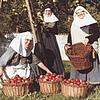 In den 50er Jahren ging es mit der klostereigenen Landwirtschaft aufwärts, dank eines guten Verwalters und der vielen helfenden Hände ...