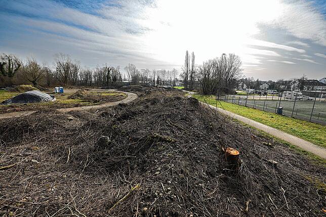 Der künftige Standort des neuen Kunstrasenplatzes (links) auf der Mettnau. Die Fläche wurde bereits im Januar von dem Bewuchs befreit. ...