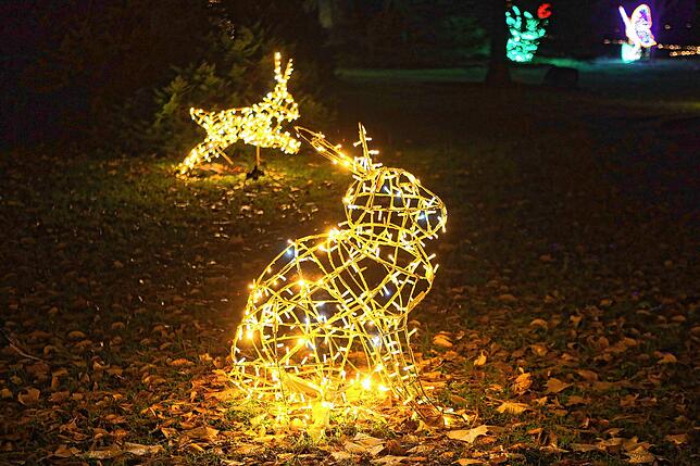 Bild 25: Insel Mainau: Bilder vom Start des Christmas Garden 2023 - Teil 1