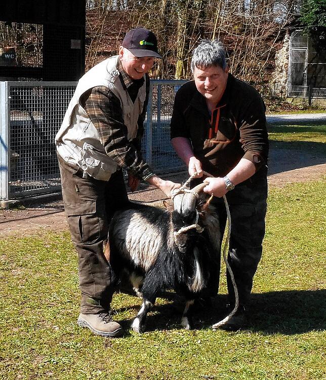 Bild 1: Tiere im Wildgehege und ihr Nachwuchs genießen die Sonne
