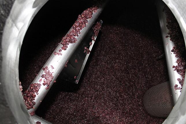 Bild 4: So viel Arbeit steckt in einer Flasche Markdorfer Wein &ndash; Einblicke in den Kellereibetrieb des Winzervereins Hagnau