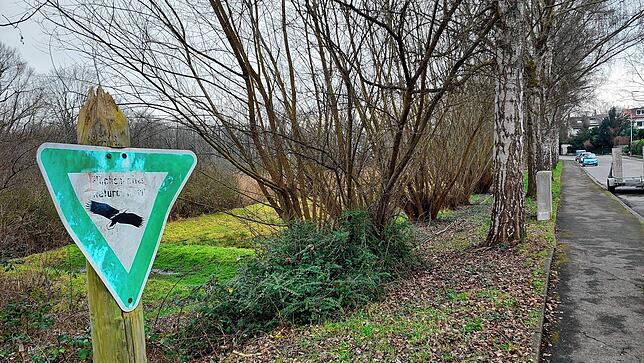 Blick von der Hermann-von-Vicari-Straße in Allmannsdorf auf den Beginn des flächenhaften Naturdenkmals Turbenried.