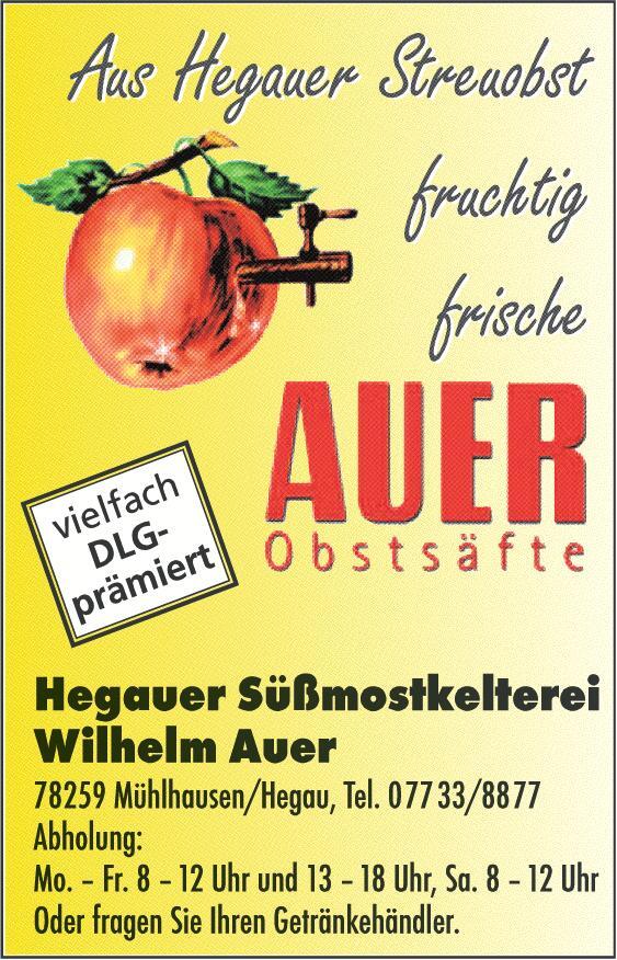 Bild 2: Narrenfahrplan Hegau: