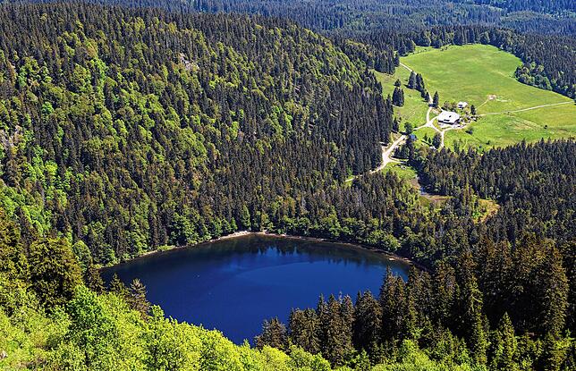 Der Feldsee am Fuße des Feldbergs im Schwarzwald.