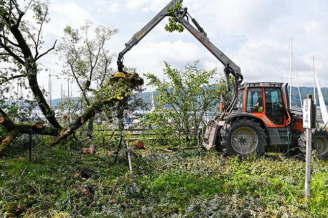Bild 26: Bilder von den Einsätzen und massiven Schäden nach dem Unwetter in Bodman-Ludwigshafen