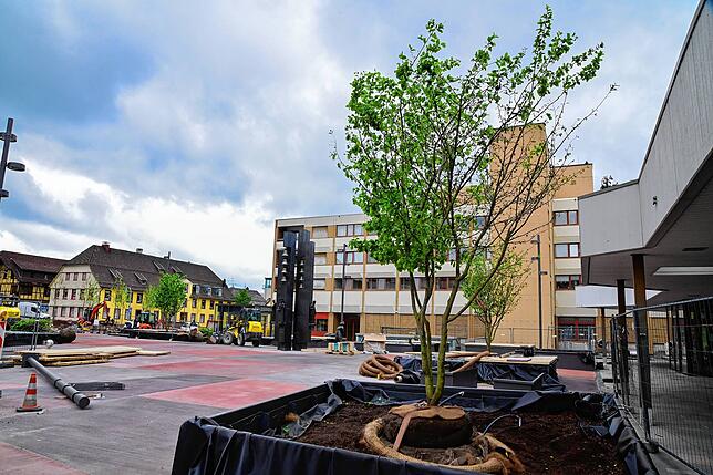 Neben der Farbe rot kommt zunhehmend auch die Farbe grün ins Spiel auf dem neuen Marktplatz. Die ersten Bäume sind schon gepflanzt.