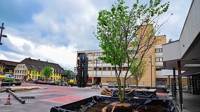 Am Samstag wird der Marktplatz nach zwei Jahren Bauzeit offiziell eingeweiht. Noch sind einige Baustellen offen. Auch müssen in den ...