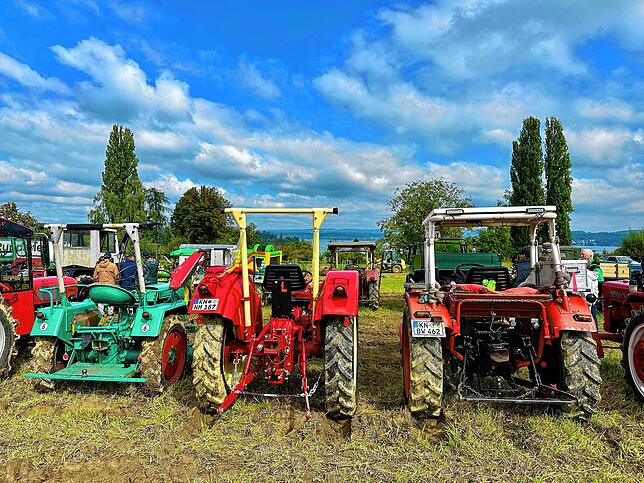 Bild 25: Bilder vom Oldtimertreffen in Egg