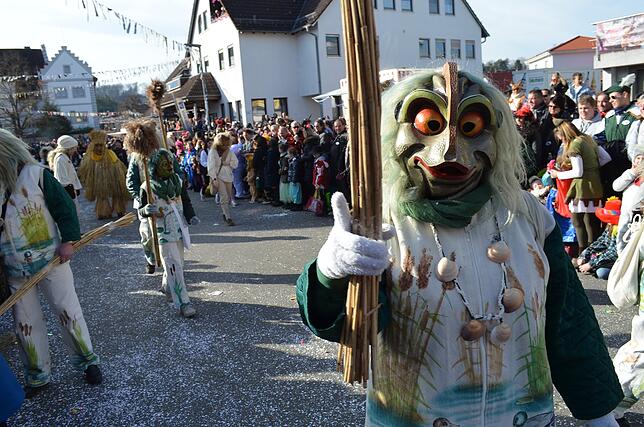 Bild 22: Eigeltinger Narrentage: Der Sonntagsumzug in Bildern (2)
