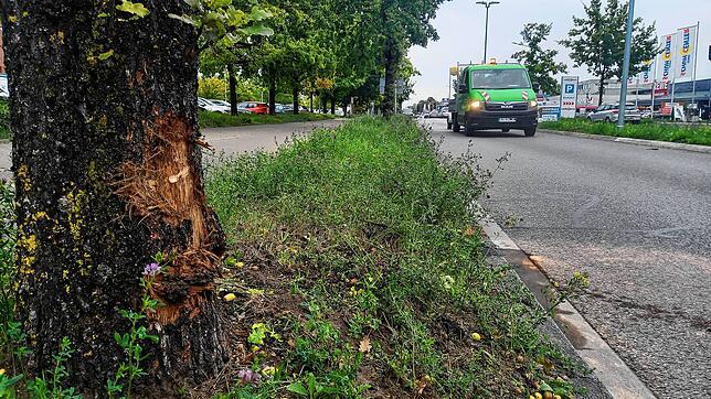 An der Straße sowie am Baum direkt vor dem Kreisverkehr sind die Spuren des Verkehrsunfalls auch am Montag, 23. September, noch deutlich ...