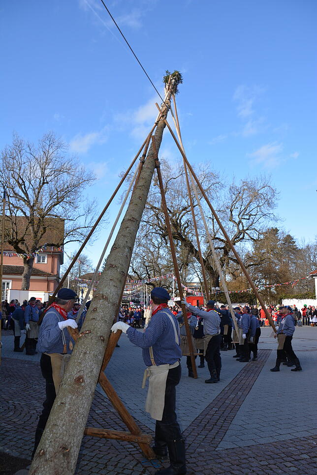 Bild 4: Bilder vom Kinderumzug und Narrenbaumstellen in Bad Dürrheim