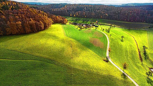 Hier (links neben der Straße) soll die künftige Photovoltaik-Freiflächenanlage ihren Platz finden. Im Hintergrund ist der Hof ...