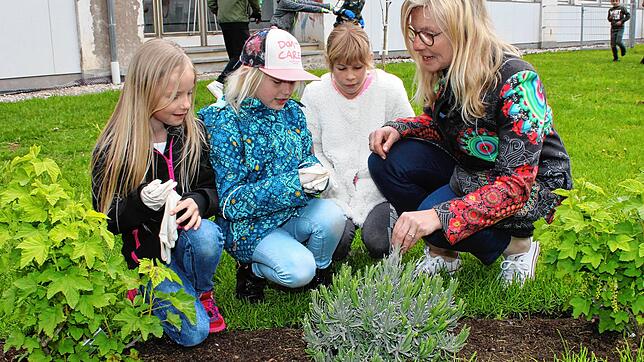 Erlebnispädagogik für Grundschüler der Immendinger Schlossschule: Während der dreieinhalbjährigen Dienstzeit von Schulleiterin Julia ...