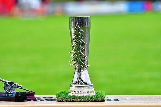 Bild 22: SG Weilheim/Gurtweil gewinnt Waldhaus-Cup – und wir haben Bilder!