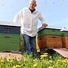 Martin Wernick hält mitten in Allmendshofen Bienen. Zehn Völker stehen im großen Garten. Mit der Bienenseuche haben der Imker und seine ...