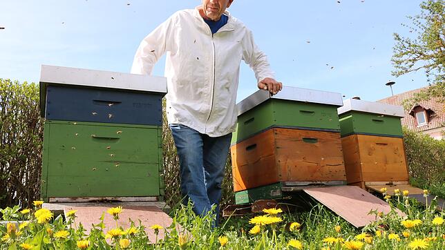 Martin Wernick hält mitten in Allmendshofen Bienen. Zehn Völker stehen im großen Garten. Mit der Bienenseuche haben der Imker und seine ...