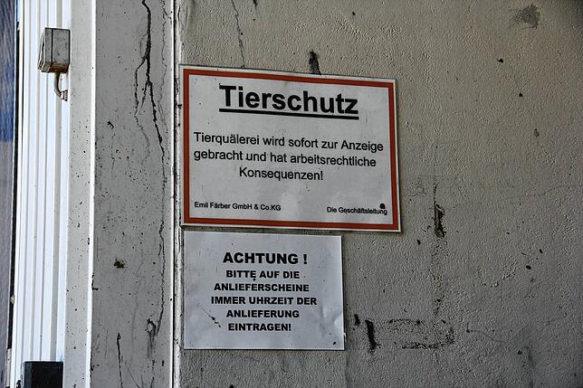 Tierschutz im Schlachthaus? Was widersprüchlich klingt, hat seine Berechtigung. Auch den Metzgern ist am Tierwohl gelegen.