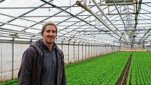 Jakob Mannherz in einem Gewächshaus voller Salat.