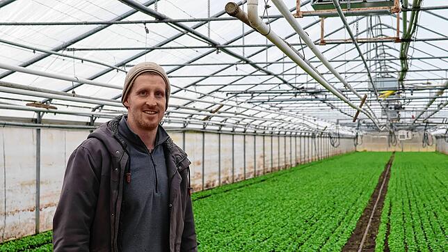 Jakob Mannherz in einem Gewächshaus voller Salat.