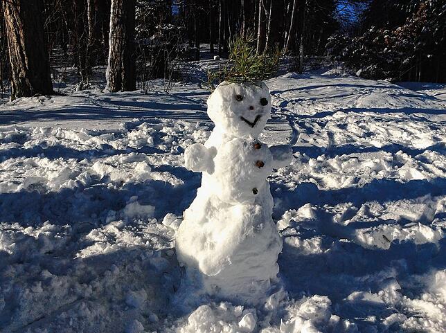 Ein freundlicher Schneemann grüßt am Triberg, einem Gebiet bei Bräunlingen.