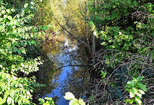 In solchen Gräben kann das Wasser nicht mehr abfließen, erklärt Landwirtschafts-Ingenieurin Kerstin Mock. Hier ein Bild des Espengrabens ...