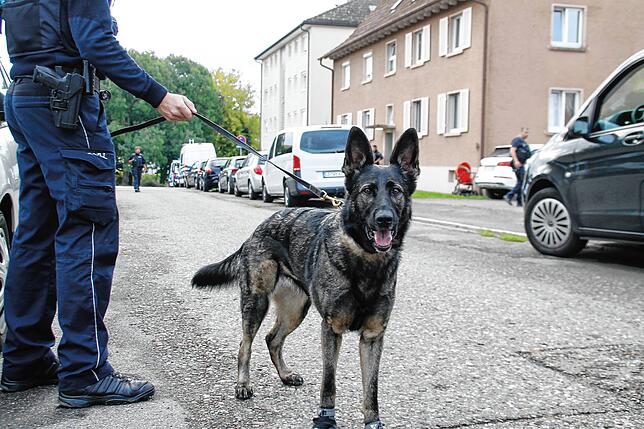 Die Bundespolizei und Zollbeamte durchsuchen eine Wohnung in der Schillerstraße in Bad Säckingen.