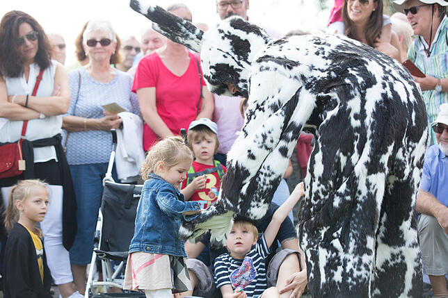 Bild 11: Stehempfang beim Seehasenfest in Bildern