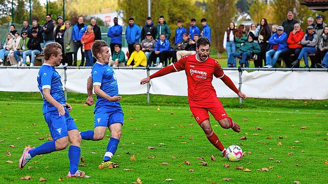 Mit 15 Toren ist er der beste Torjäger der Liga: Maximilian Bell vom FV Möhringen. Er und seine Mannschaft stehen vor dem Start nach der ...