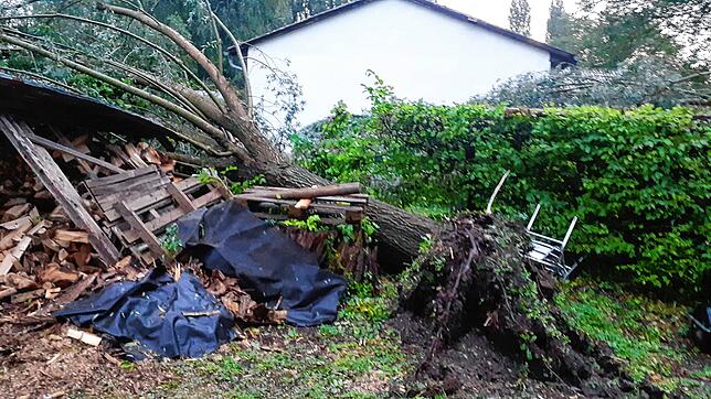 Beim Vereinsheim des Angelsportvereins Frühauf im Herzen hat der Sturm zahlreiche Schäden verursacht. Mehrere Bäume sind umgestürzt und ...