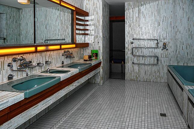 Das Badezimmer mit Sauna und Tauchbecken.