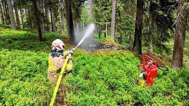 Die Feuerwehr löscht einen Brand nach dem Absturz eines Kleinflugzeuges in der Nähe von Wald im Pinzgau. Beim Absturz eines ...