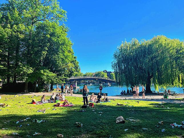 Plastikmüll, wohin man auch blickt: Der Konstanzer Herose-Park nach dem Campus-Festival im vergangenen Mai.