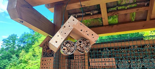 Mit einem selbst gebauten Insektenhotel kann man Insekten einen Rückzugsort bieten.
