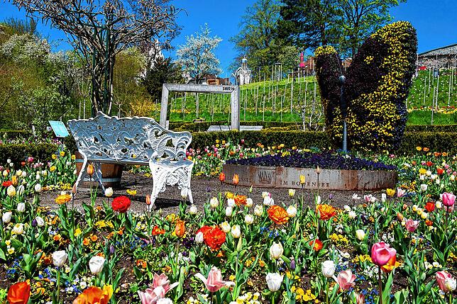 Selbst die Blumeninsel Mainau ist auf der Landesgartenschau in Überlingen vertreten – mit Mainau-Bänkchen und Pflanzen-Schmetterling.