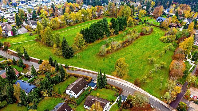 Blick auf die große Grünfläche im Kurgebiet westlich der Oberförster-Ganter-Straße (hier unten im Bild). Von der Stadtverwaltung gibt es ...